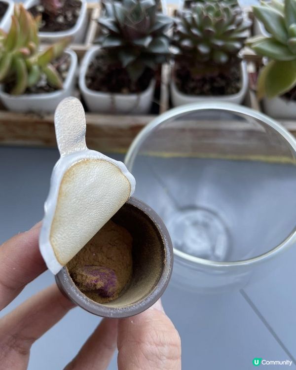 【一沖即飲 寶和堂養生茶】