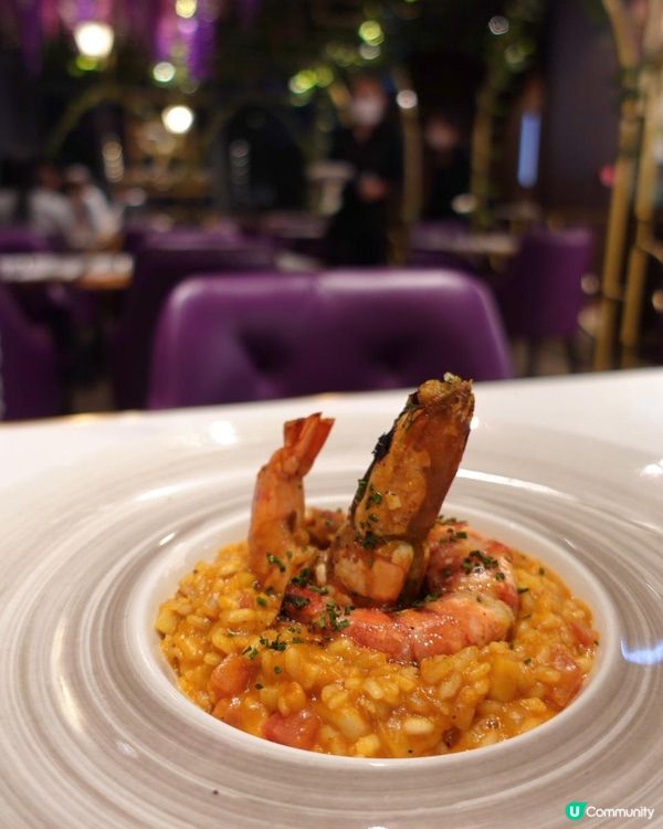 💜北角滙高質西餐🍴