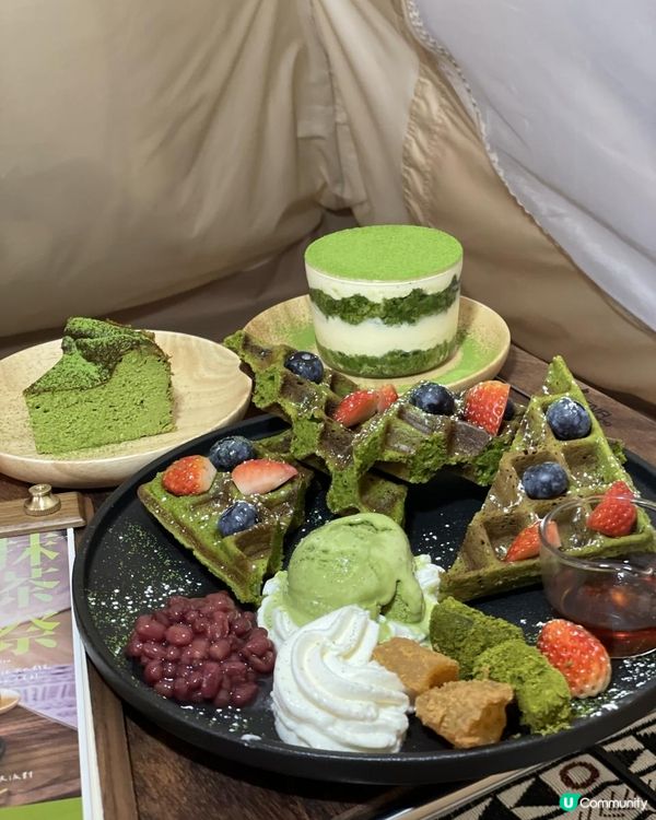 🏕️ 露營帳篷• 波希米亞風咖啡店