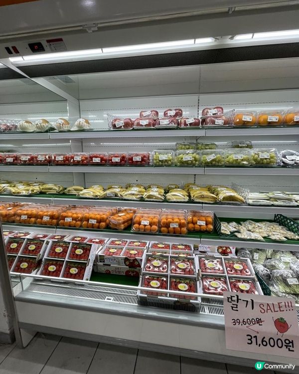 ⁂首爾近郊滑雪親子好地方⁂