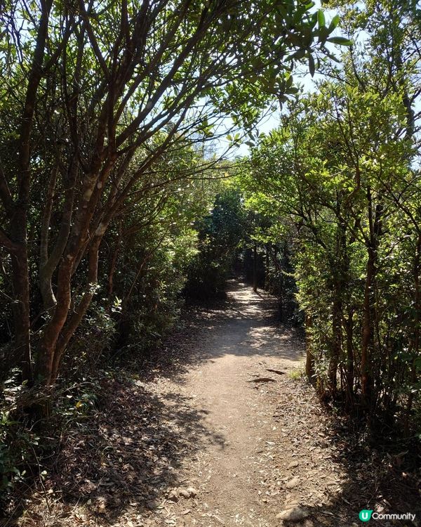 漫遊香港 - 新春行大運 從筆架山到獅子山