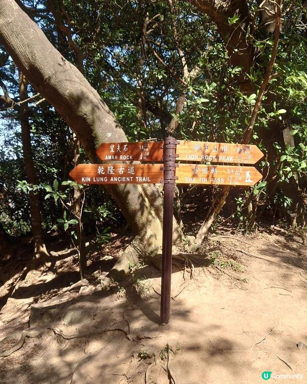 漫遊香港 - 新春行大運 從筆架山到獅子山