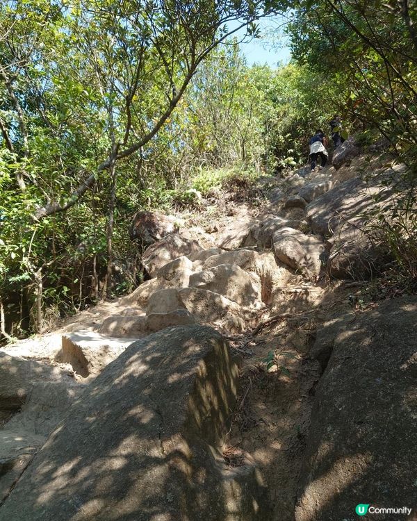 漫遊香港 - 新春行大運 從筆架山到獅子山