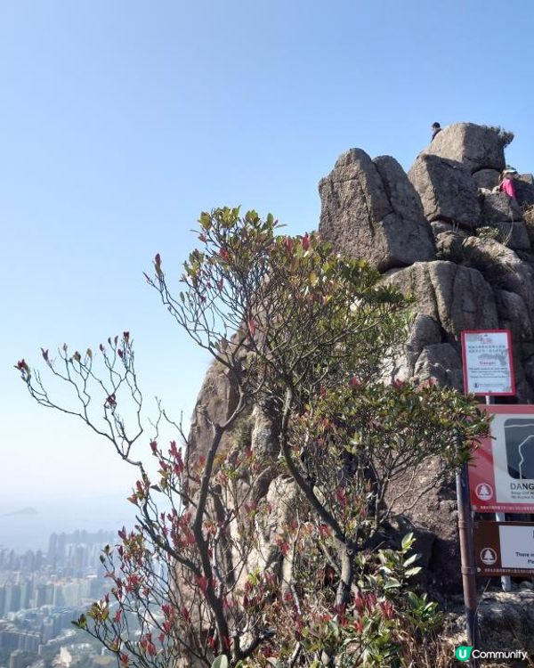 漫遊香港 - 新春行大運 從筆架山到獅子山