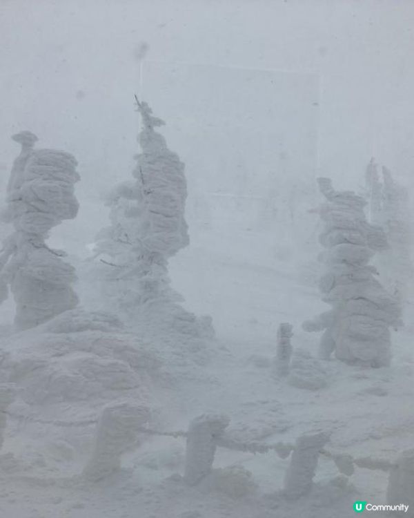 日本東北白色新年之旅 --- 初見雪景與形態各異的藏王樹冰、雪中藏王溫泉