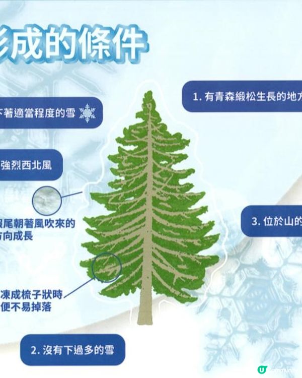 日本東北白色新年之旅 --- 初見雪景與形態各異的藏王樹冰、雪中藏王溫泉