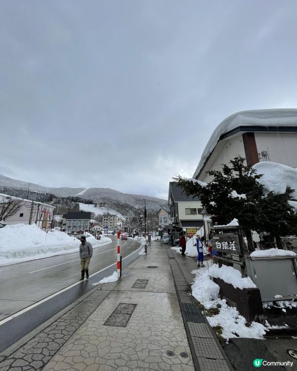 日本東北白色新年之旅 --- 初見雪景與形態各異的藏王樹冰、雪中藏王溫泉