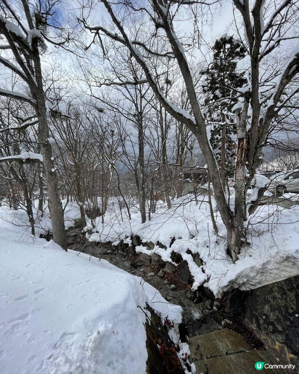 日本東北白色新年之旅 --- 初見雪景與形態各異的藏王樹冰、雪中藏王溫泉