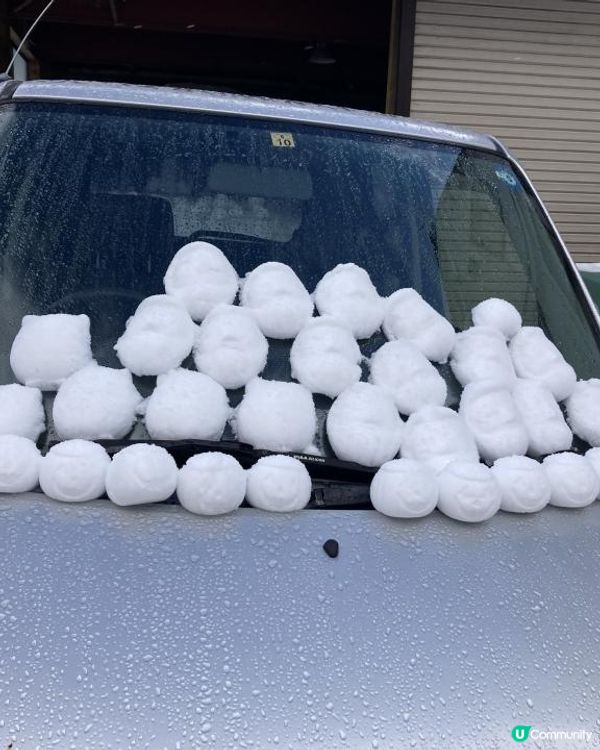 日本東北白色新年之旅 --- 初見雪景與形態各異的藏王樹冰、雪中藏王溫泉