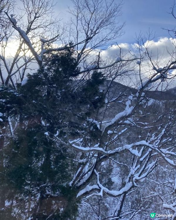日本東北白色新年之旅 --- 初見雪景與形態各異的藏王樹冰、雪中藏王溫泉