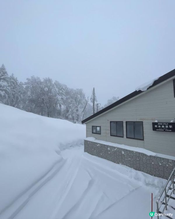 日本東北白色新年之旅 --- 初見雪景與形態各異的藏王樹冰、雪中藏王溫泉