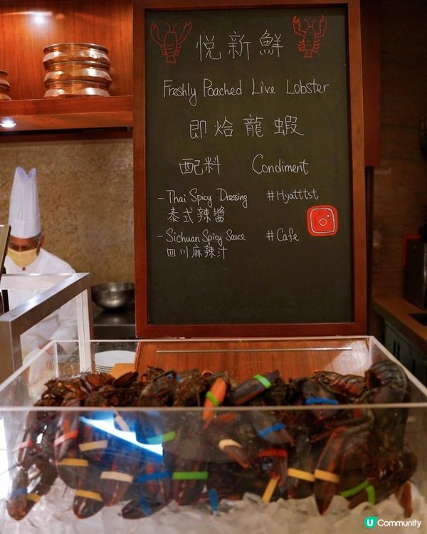 《尖沙咀凱悅酒店🏨自助晚餐🍴》「燒烤美饌」主題｜無限量任食三款龍蝦🦞｜燒封門牛柳、‭有骨肉眼扒‬🍖｜8款刺身🐟｜6款冰鎮海鮮🦀｜多款酒店出品蛋糕甜品🍰