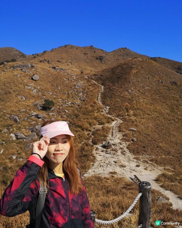 [跟我走。官方四大徑] 4 - 鳳凰徑 第1至2段