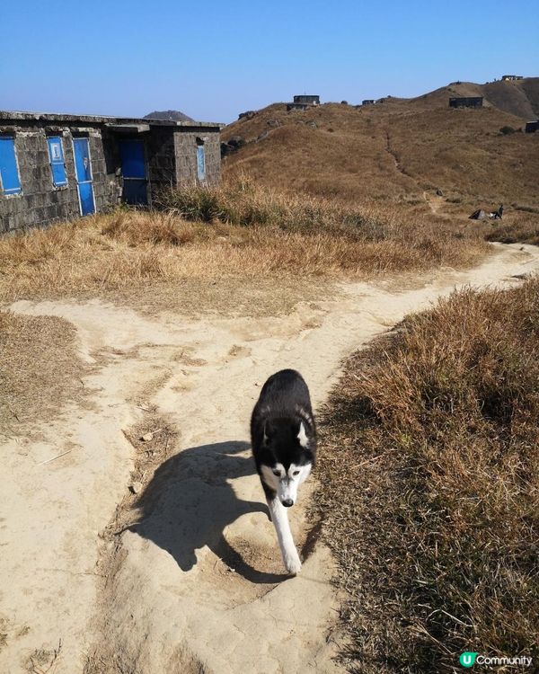 [跟我走。官方四大徑] 4 - 鳳凰徑 第1至2段