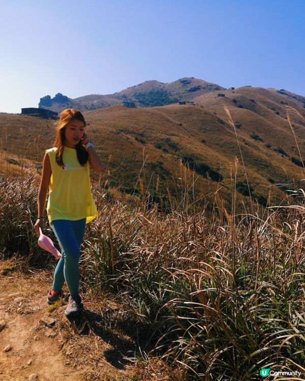 [跟我走。官方四大徑] 4 - 鳳凰徑 第1至2段