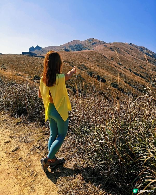 [跟我走。官方四大徑] 4 - 鳳凰徑 第1至2段