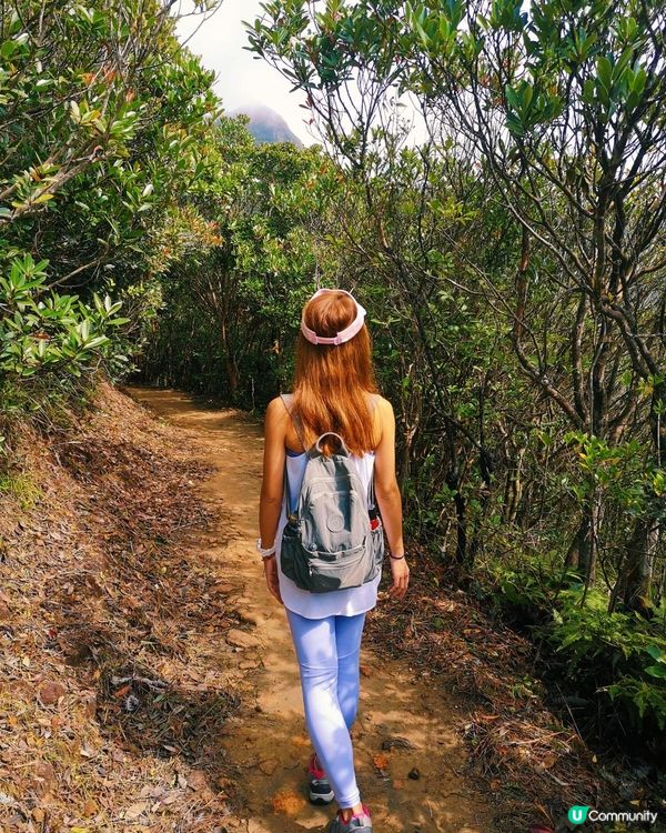 [跟我走。官方四大徑] 3 - 港島徑 第1至 4段