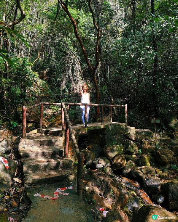 [跟我走。官方四大徑] 3 - 港島徑 第1至 4段