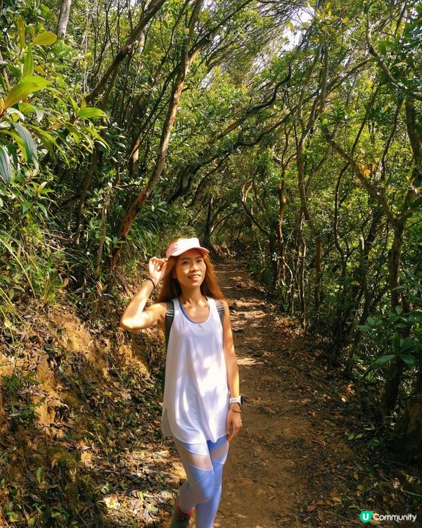 [跟我走。官方四大徑] 3 - 港島徑 第1至 4段