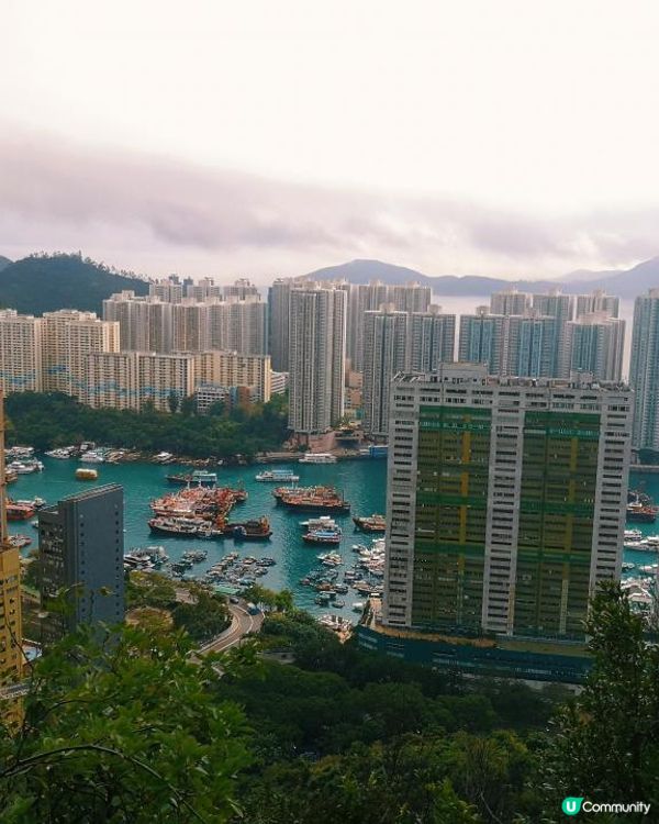 [跟我走。官方四大徑] 3 - 港島徑 第1至 4段