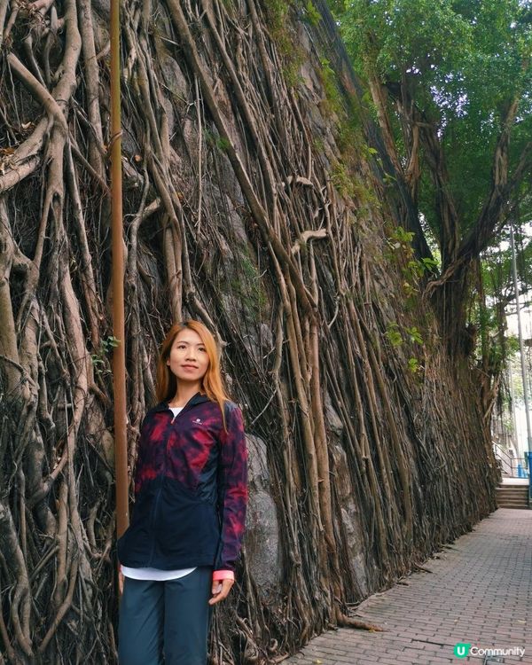 [行山要打卡]35 - 摩星嶺