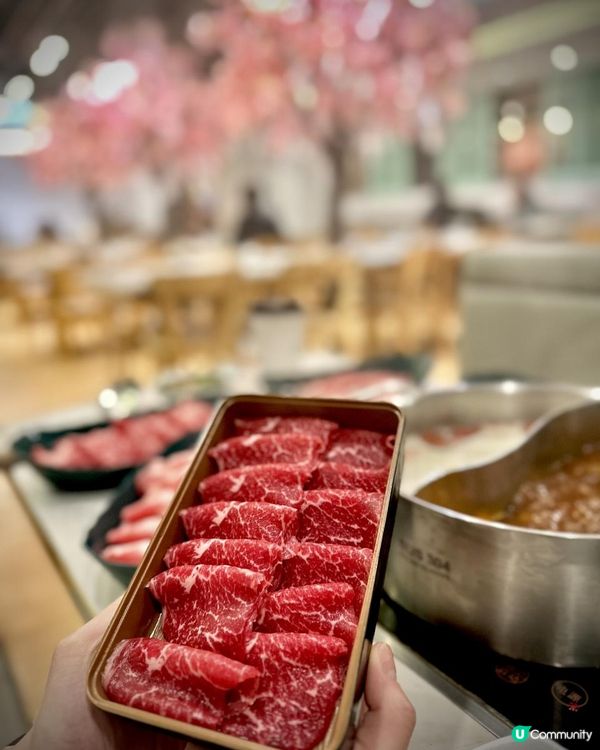 荃灣｜別忘了櫻花正開🌸台式火鍋放題🍲