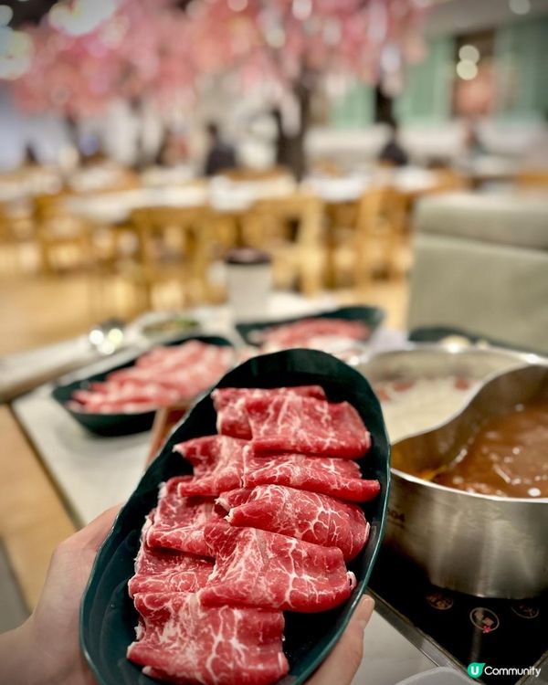 荃灣｜別忘了櫻花正開🌸台式火鍋放題🍲