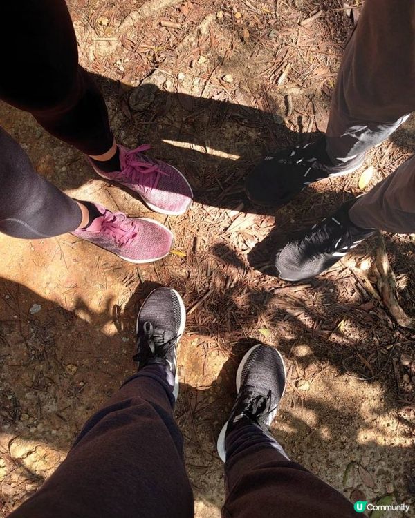 天殘樹熊跑步記 - 再戰筆架山