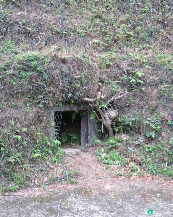 天殘樹熊跑步記 - 再戰筆架山