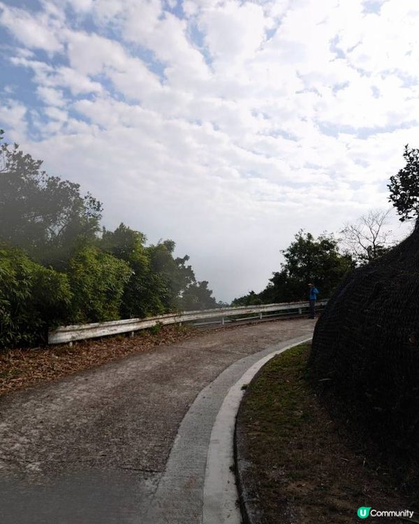 天殘樹熊跑步記 - 再戰筆架山