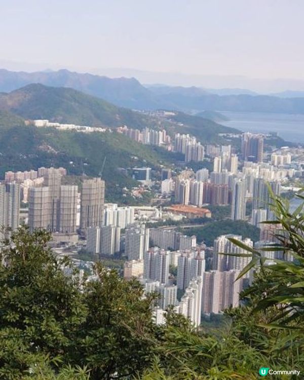 天殘樹熊跑步記 - 再戰筆架山