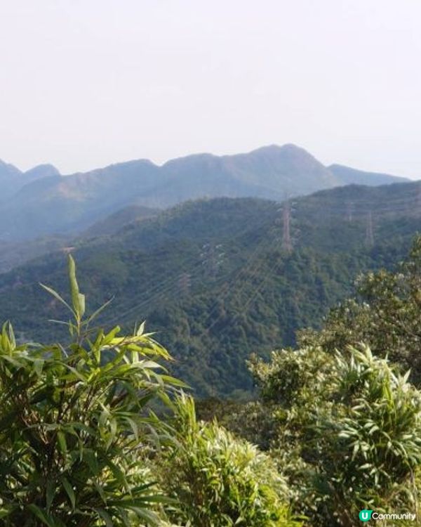 天殘樹熊跑步記 - 再戰筆架山