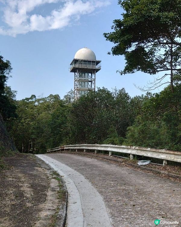 天殘樹熊跑步記 - 再戰筆架山
