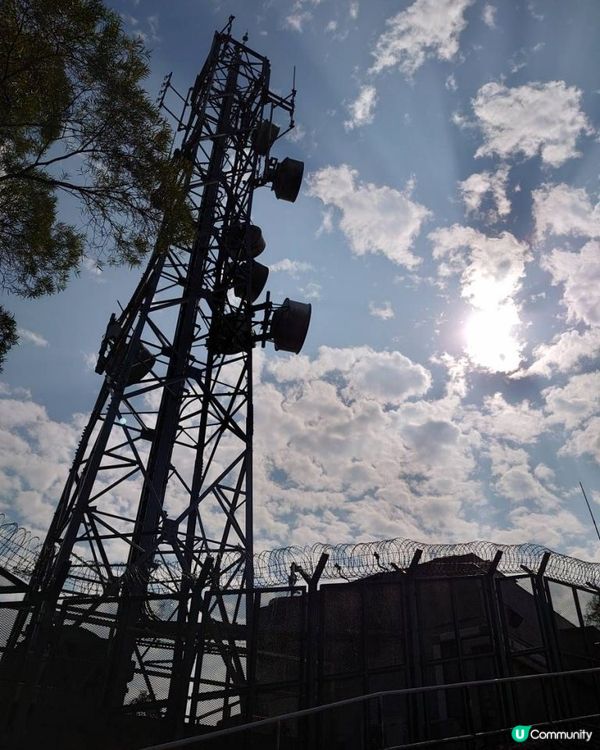 天殘樹熊跑步記 - 再戰筆架山