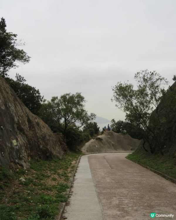 天殘樹熊跑步記 - 再戰筆架山