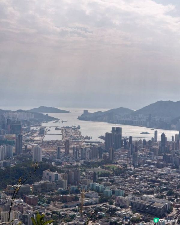 天殘樹熊跑步記 - 再戰筆架山