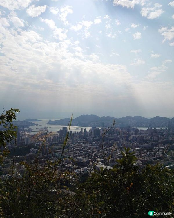 天殘樹熊跑步記 - 再戰筆架山