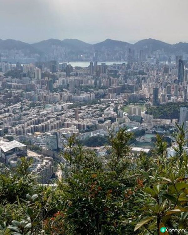 天殘樹熊跑步記 - 再戰筆架山