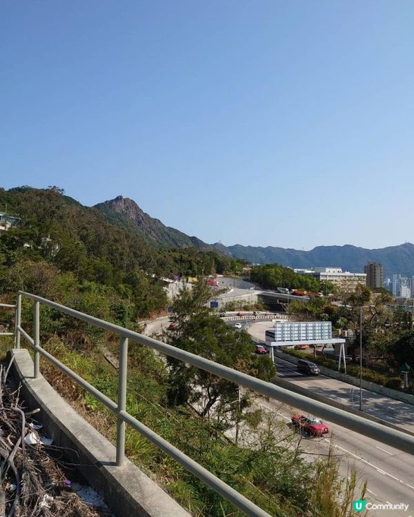 天殘樹熊跑步記 - 再戰筆架山