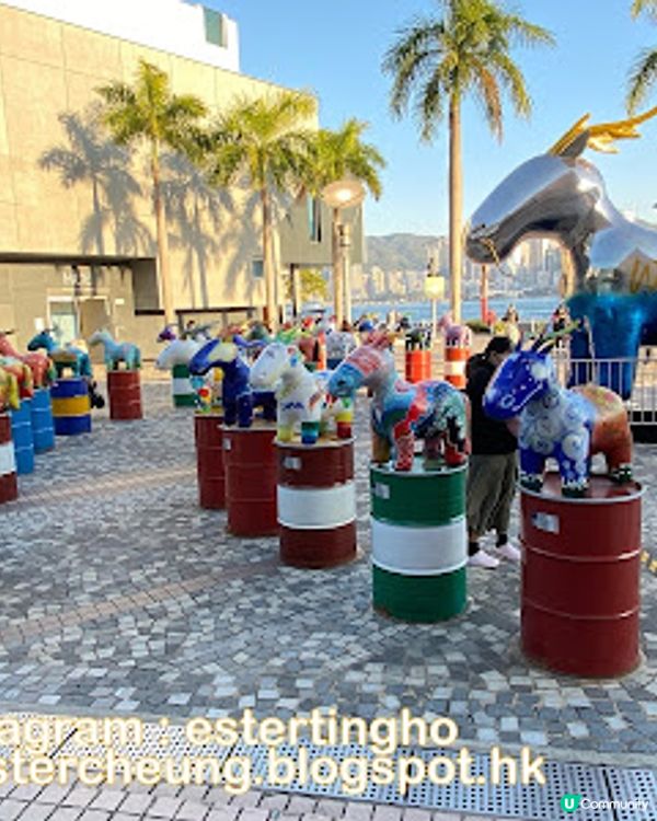 【尖沙咀 食記】牧羊少年與他的浮萍 ♥ 嘆個悠閒下午茶