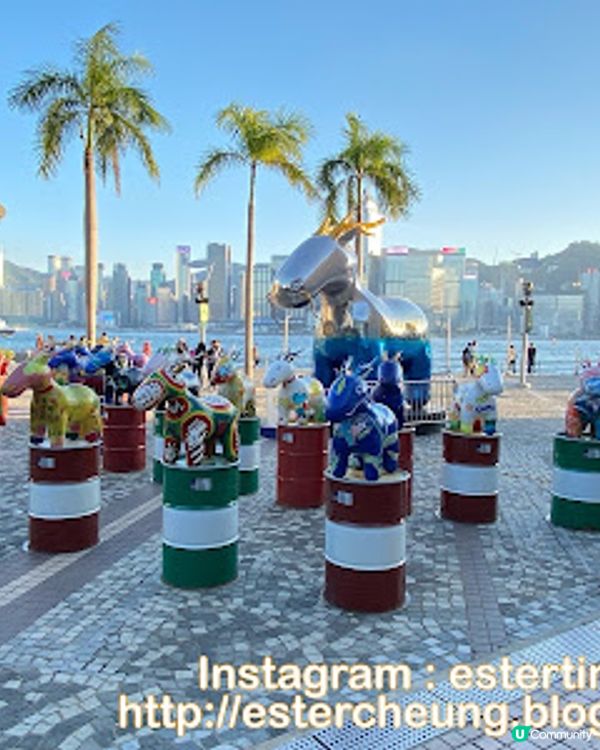 【尖沙咀 食記】牧羊少年與他的浮萍 ♥ 嘆個悠閒下午茶