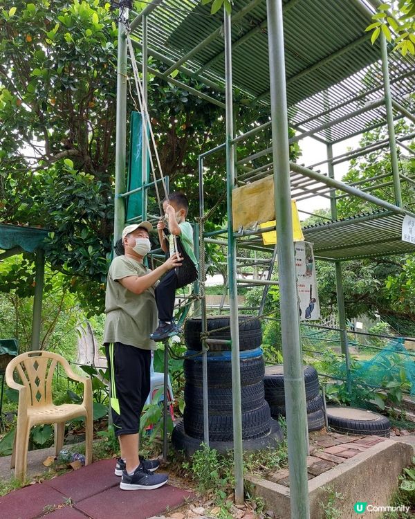 【暟。玩。樂】#40 Hoilday Farm【農莊系列 6】