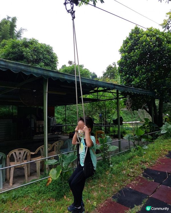 【暟。玩。樂】#40 Hoilday Farm【農莊系列 6】