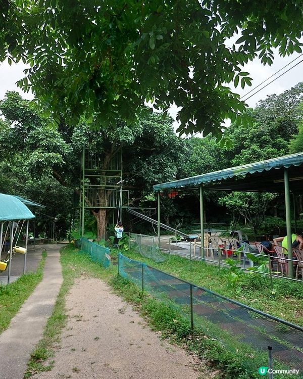 【暟。玩。樂】#40 Hoilday Farm【農莊系列 6】