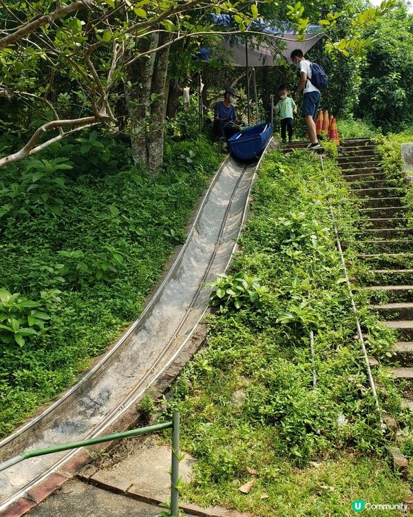 【暟。玩。樂】#40 Hoilday Farm【農莊系列 6】