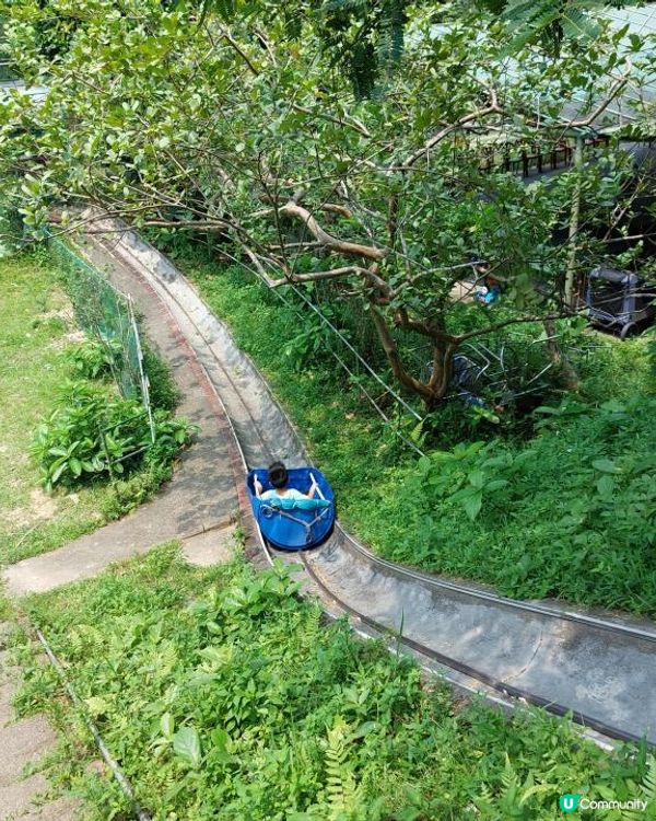 【暟。玩。樂】#40 Hoilday Farm【農莊系列 6】