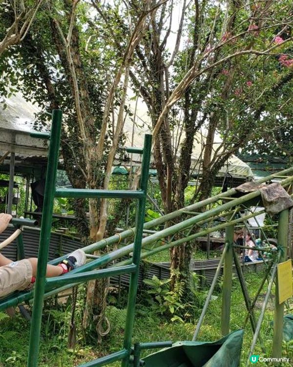 【暟。玩。樂】#40 Hoilday Farm【農莊系列 6】