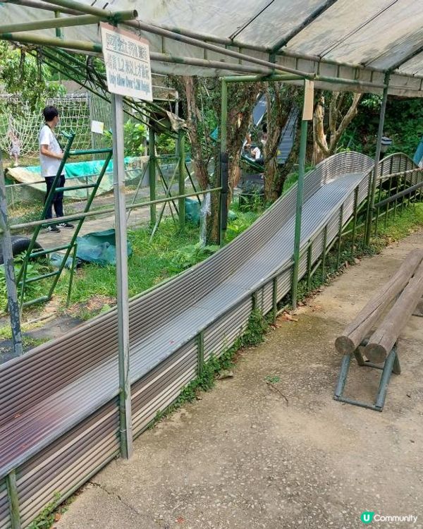 【暟。玩。樂】#40 Hoilday Farm【農莊系列 6】