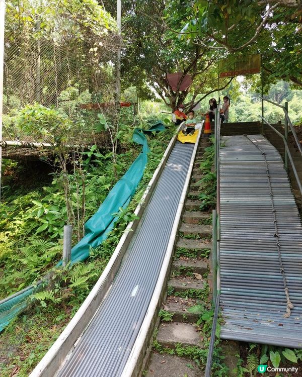 【暟。玩。樂】#40 Hoilday Farm【農莊系列 6】