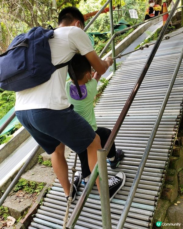 【暟。玩。樂】#40 Hoilday Farm【農莊系列 6】